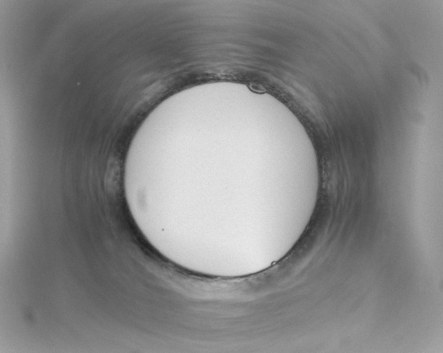 X0000115440036200911251255