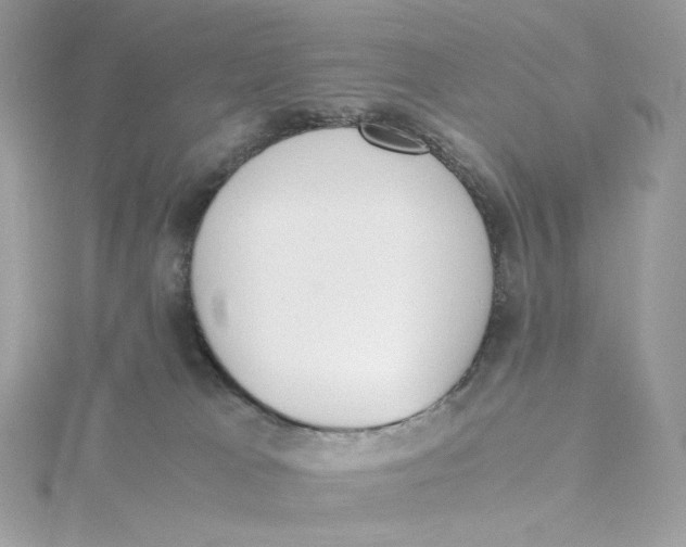 X0000115440037200911251255