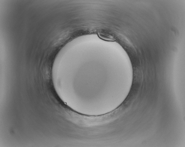 X0000115440039200911251255