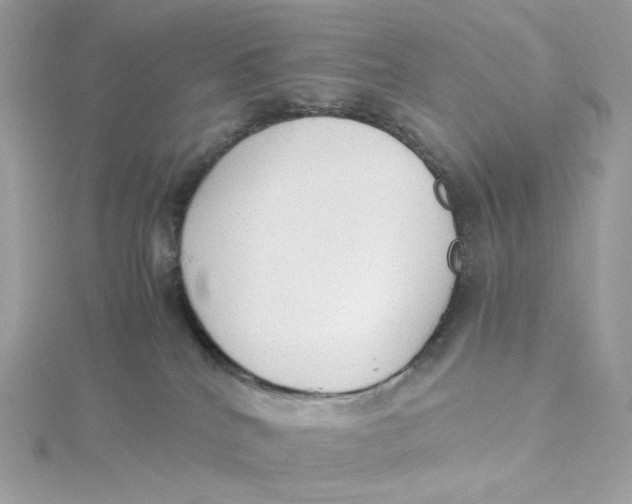 X0000115440040200911251255