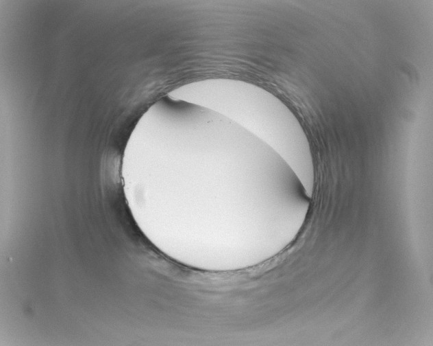 X0000115440041200911251255