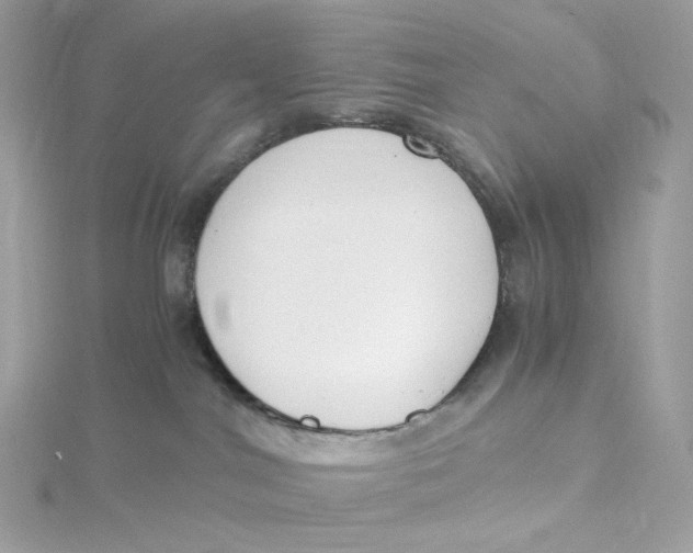 X0000115440044200911251255