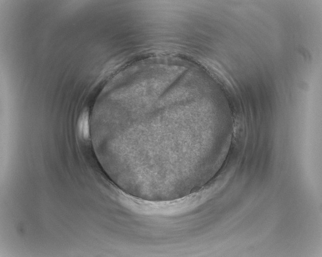 X0000115440046200911251255