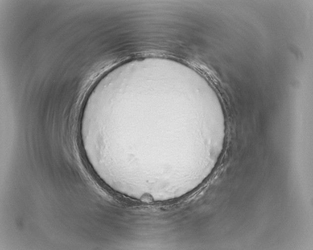 X0000115440049200911251254