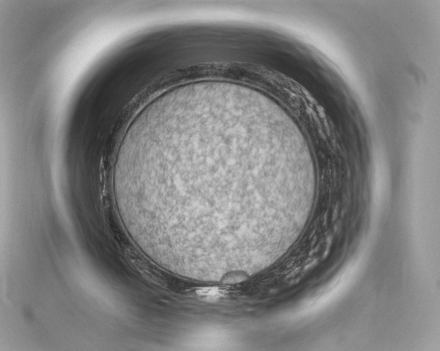 X0000115440050200911251254