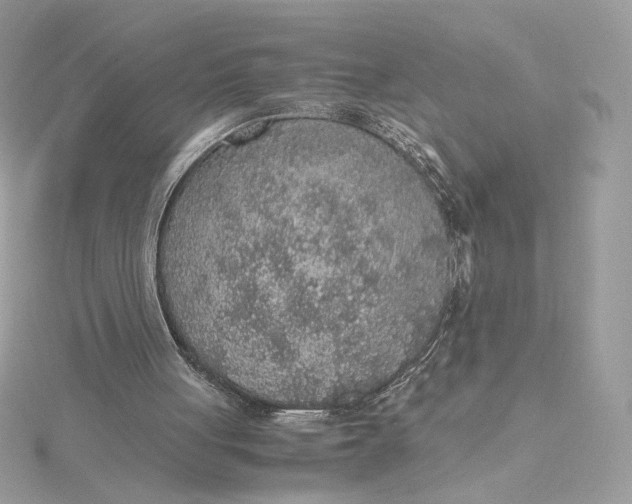 X0000115440051200911251254