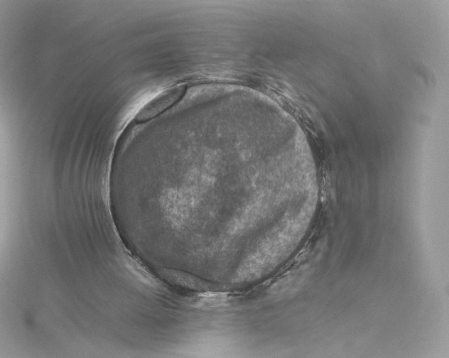 X0000115440052200911251254