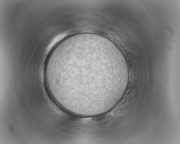 X0000115440054200911251254