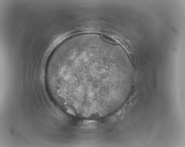 X0000115440055200911251254