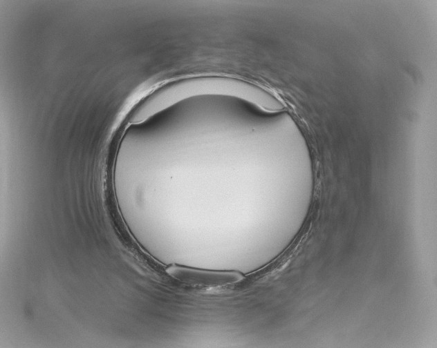 X0000115440056200911251254