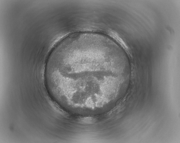 X0000115440058200911251254