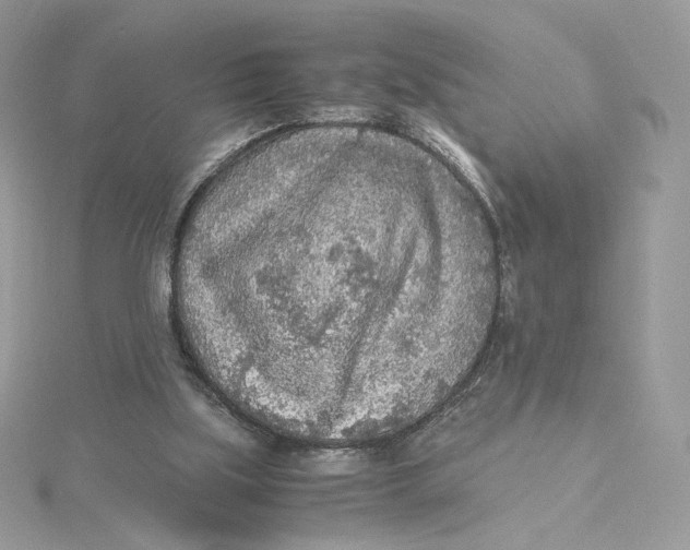 X0000115440059200911251254