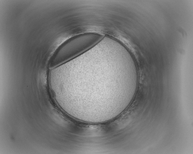 X0000115440060200911251255