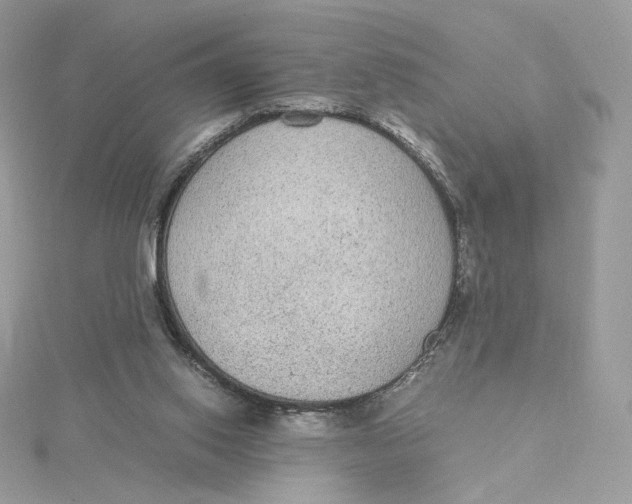 X0000115440062200911251255