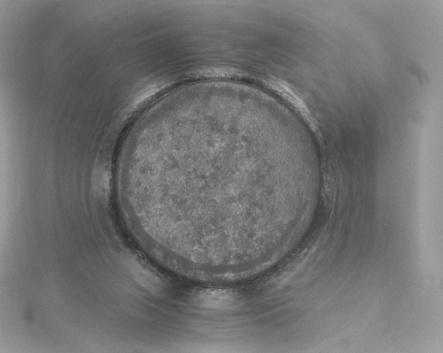 X0000115440063200911251255