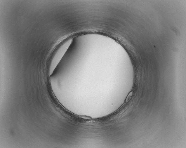 X0000115440064200911251255