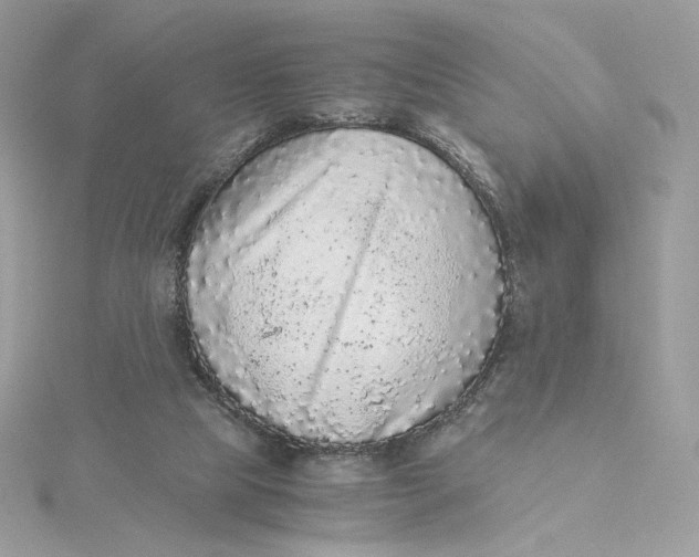 X0000115440065200911251255