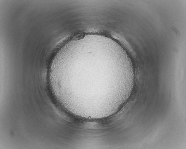 X0000115440066200911251255