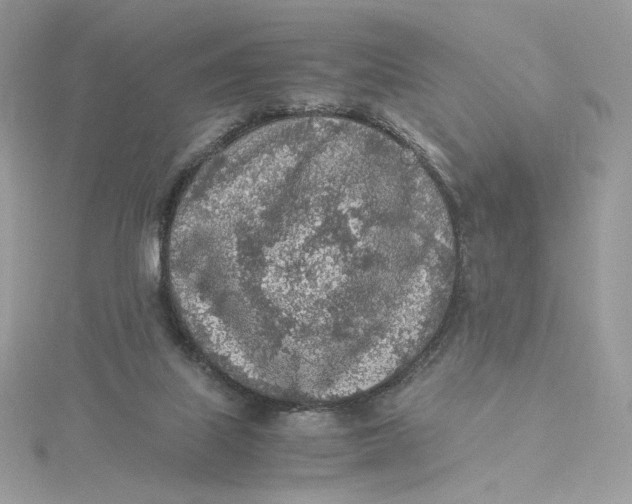 X0000115440067200911251255