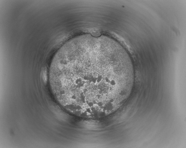 X0000115440069200911251255