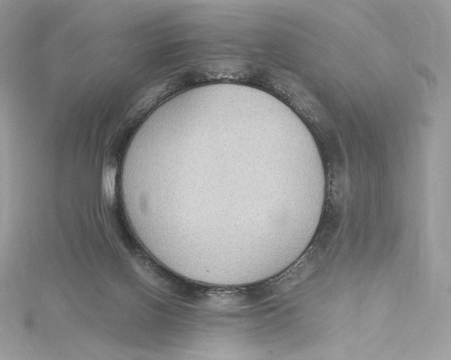 X0000115440070200911251255