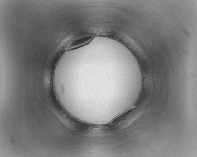 X0000115440072200911251255