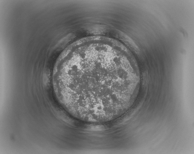 X0000115440073200911251255