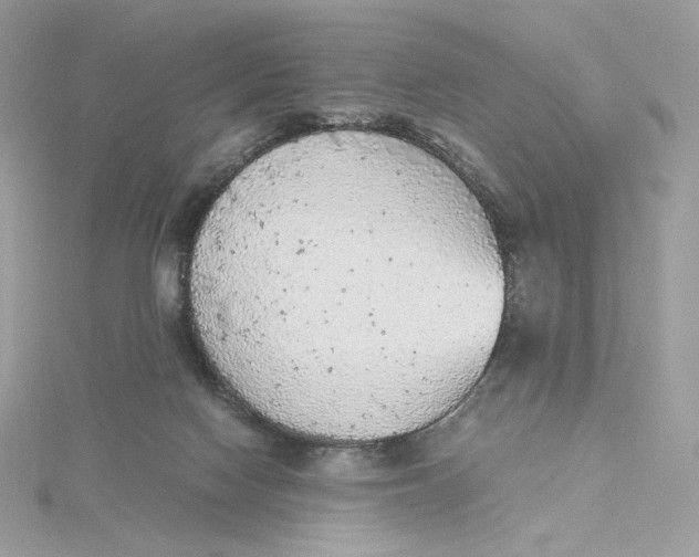 X0000115440074200911251255