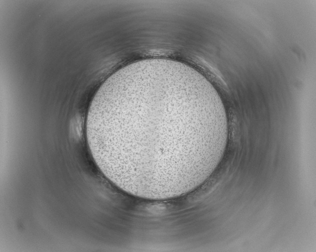 X0000115440075200911251255