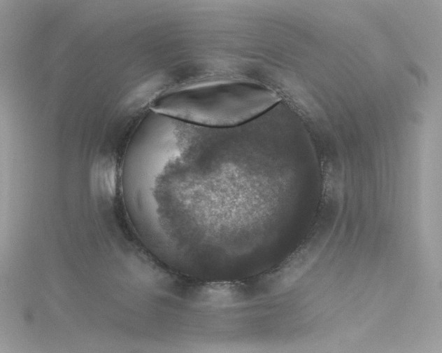 X0000115440076200911251255