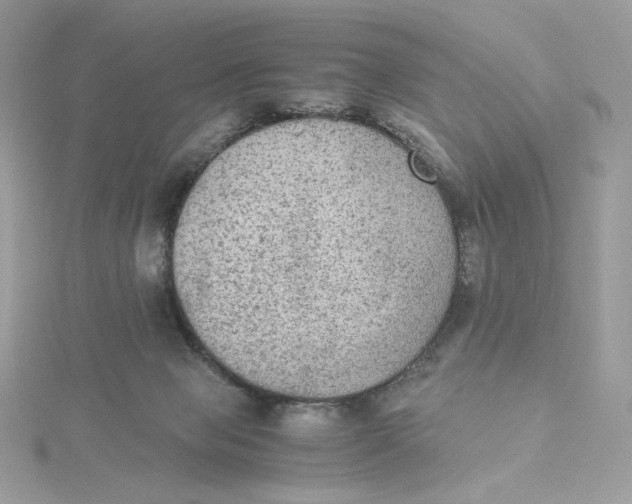 X0000115440077200911251255