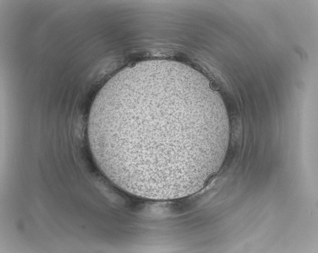 X0000115440078200911251255