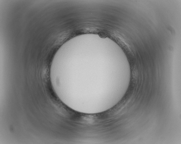 X0000115440079200911251255