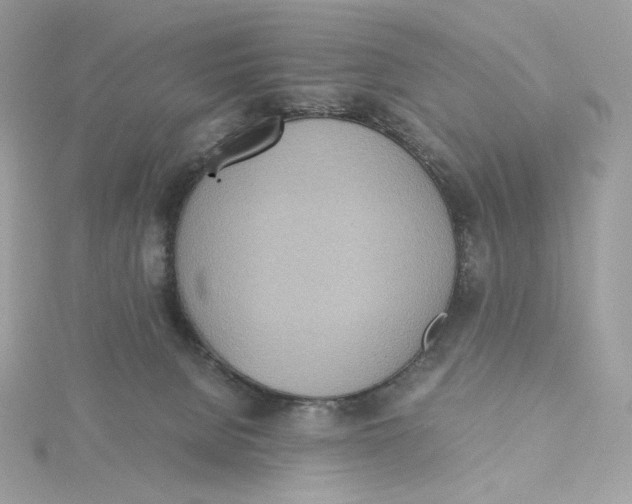 X0000115440080200911251255