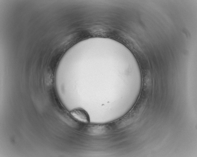 X0000115440081200911251255