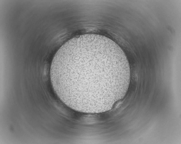 X0000115440082200911251255