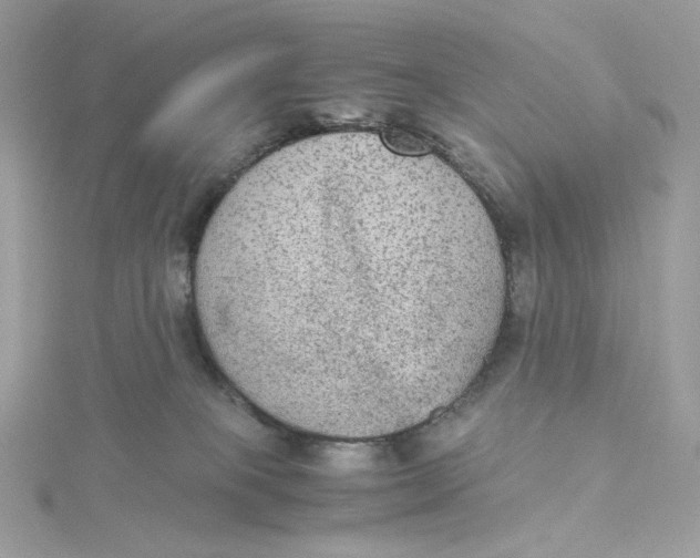 X0000115440085200911251255