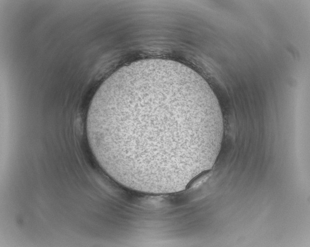 X0000115440086200911251255