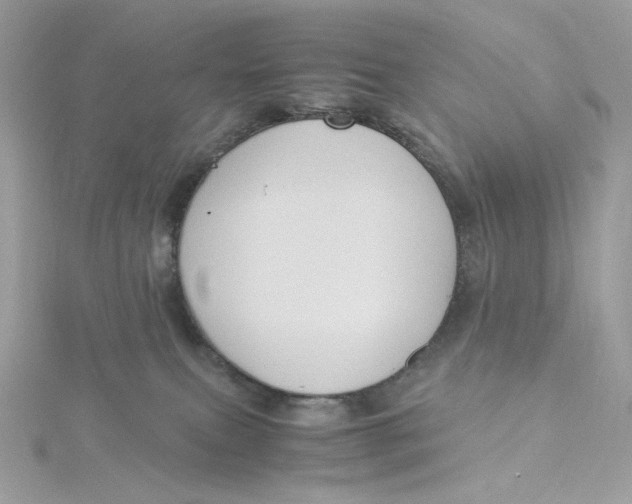 X0000115440087200911251255