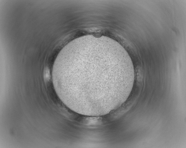 X0000115440089200911251255