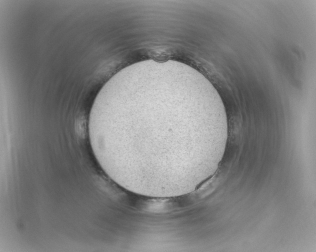 X0000115440090200911251255