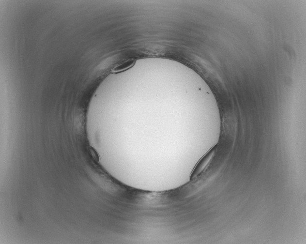 X0000115440092200911251255