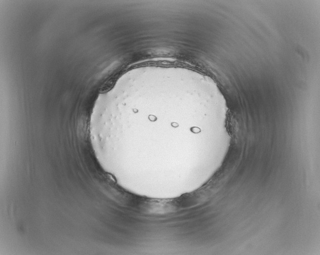 X0000115440093200911251255