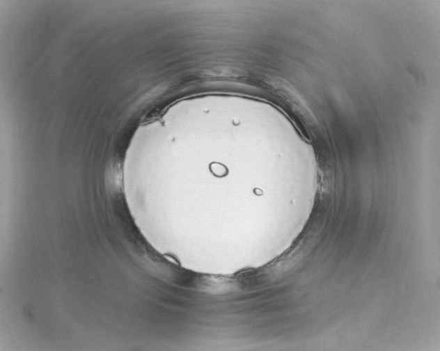 X0000115440095200911251255