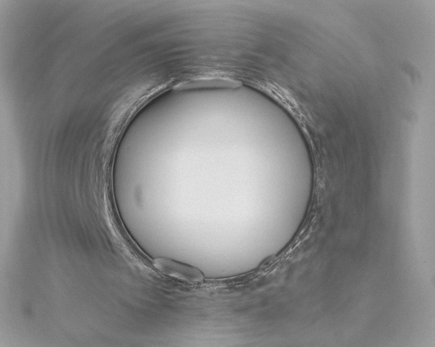 X0000115440097200911251254