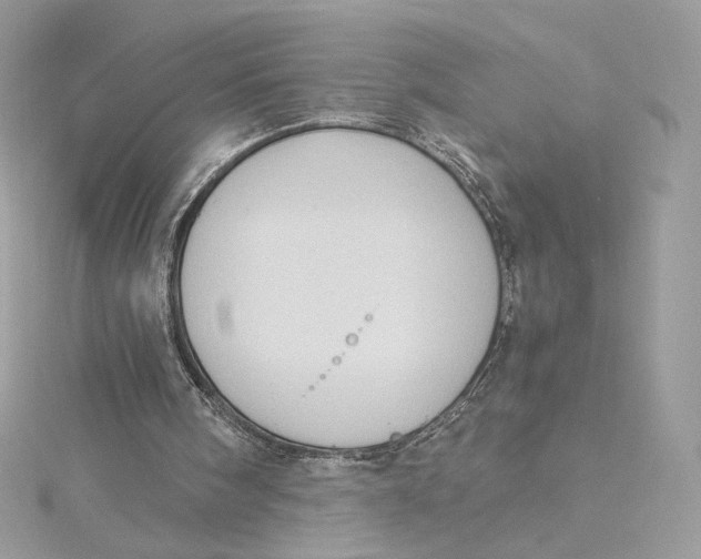 X0000115440098200911251254