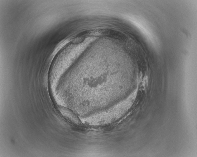 X0000115440099200911251254