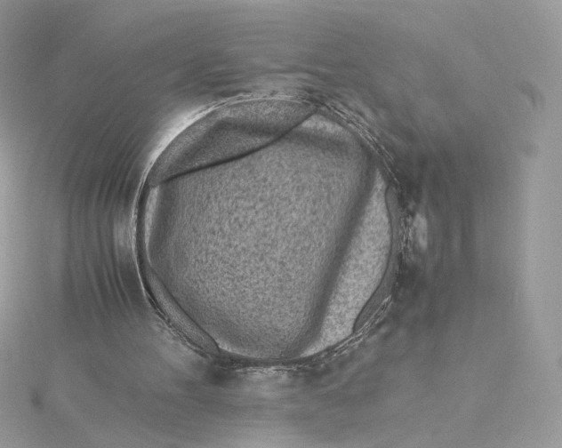 X0000115440100200911251254