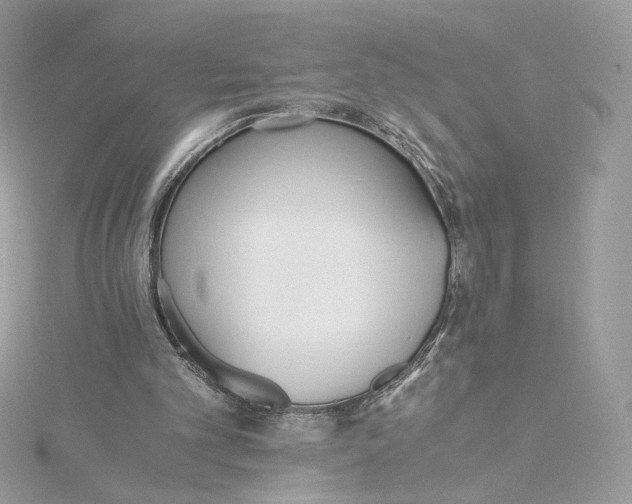 X0000115440101200911251254