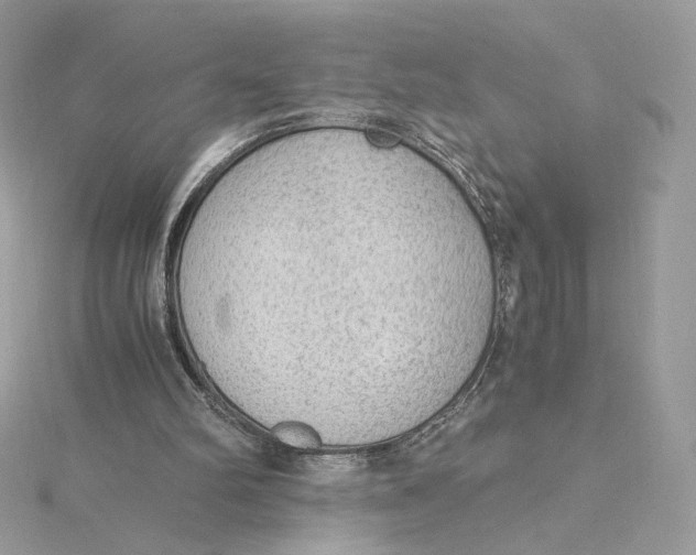 X0000115440102200911251254